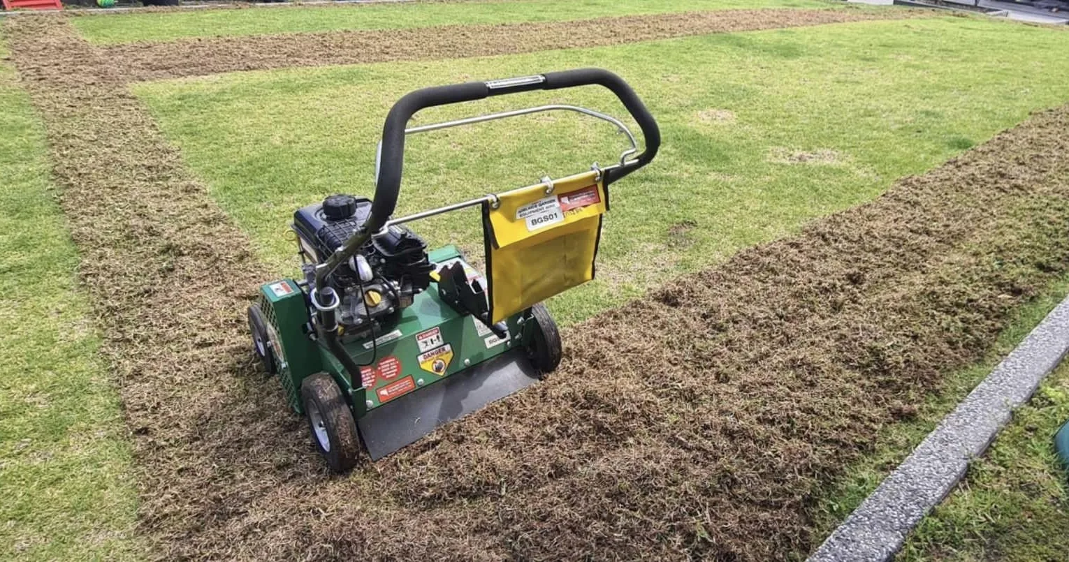 AGEH scarifying service